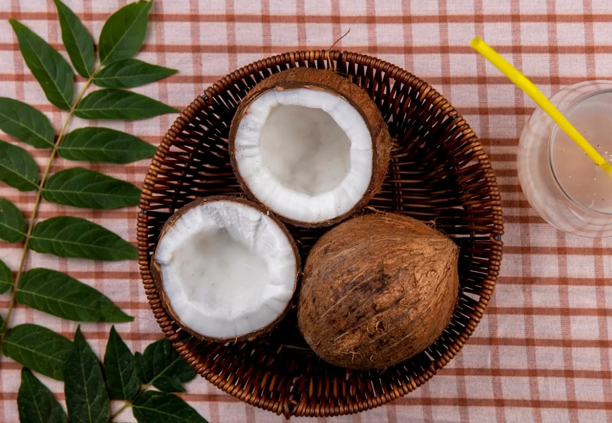 Кокос. Обложка © freepik / stockking