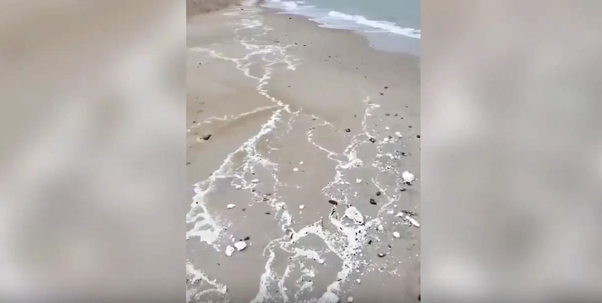 Пляж Анапы. Обложка © Telegram / novorosstoday