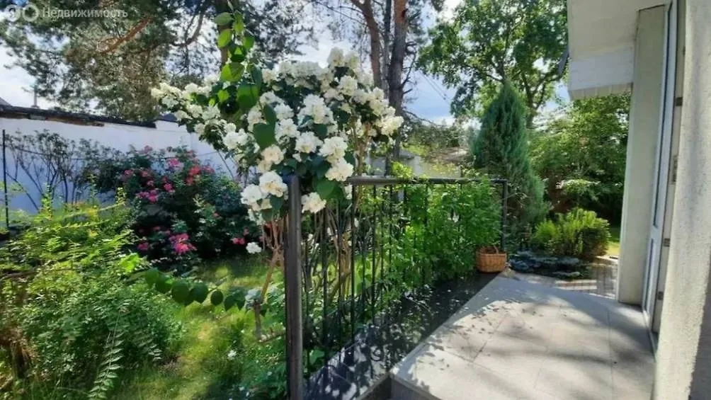 Портпосёлок, где выросла Дарья Касаткина. Фото © Яндекс Недвижимость