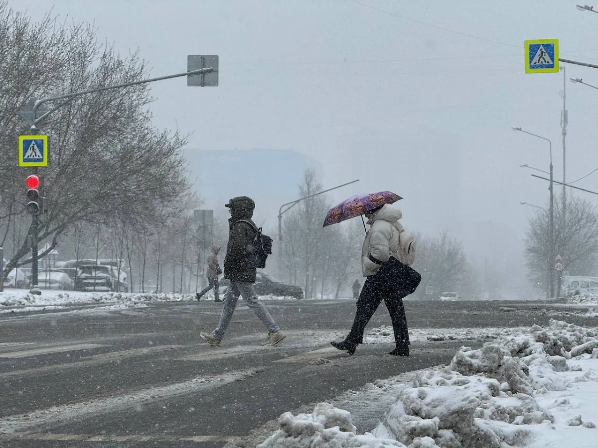 Москвичи в снежную погоду. Обложка © Life.ru / Павел Баранов