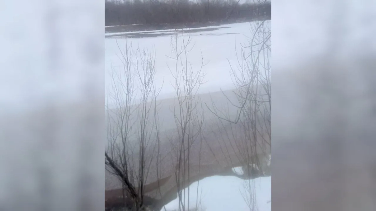 Озеро, в районе которого пропали взрослые и ребёнок. Обложка © Telegram / Следком11