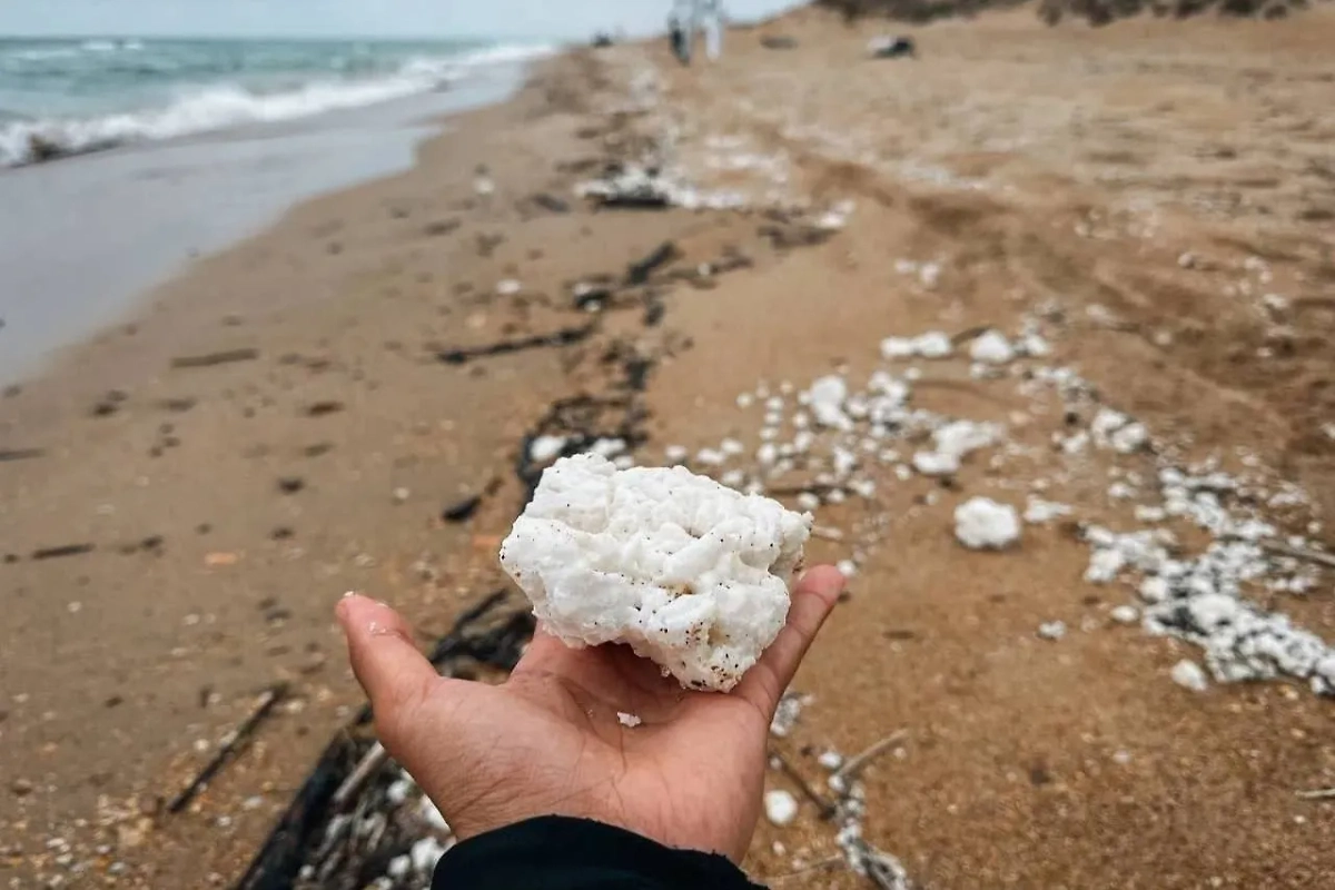 Выбросы пальмового масла на побережье Анапы. Обложка © VK / Барахолка Геленджик