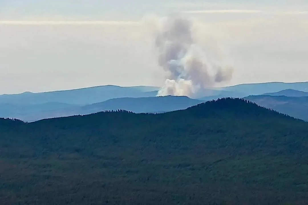 За сутки обнаружили 13 возгораний. Обложка © Telegram / Лесное хозяйство Бурятии