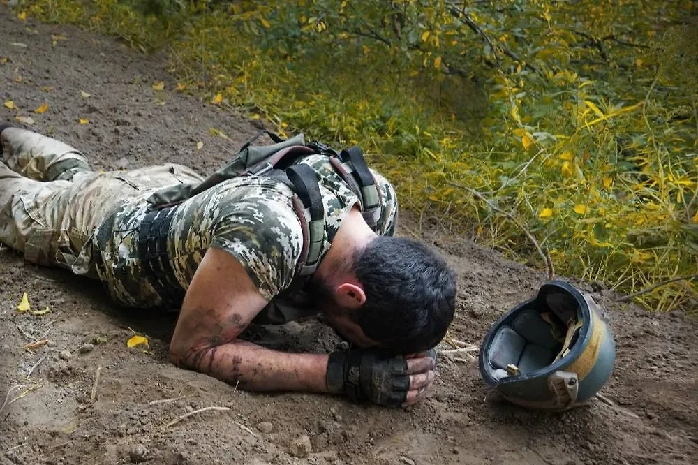 В зоне СВО погиб 18-летний боец ВСУ, заключивший молодёжный контракт. Обложка © Shutterstock / FOTODOM / ArtMari