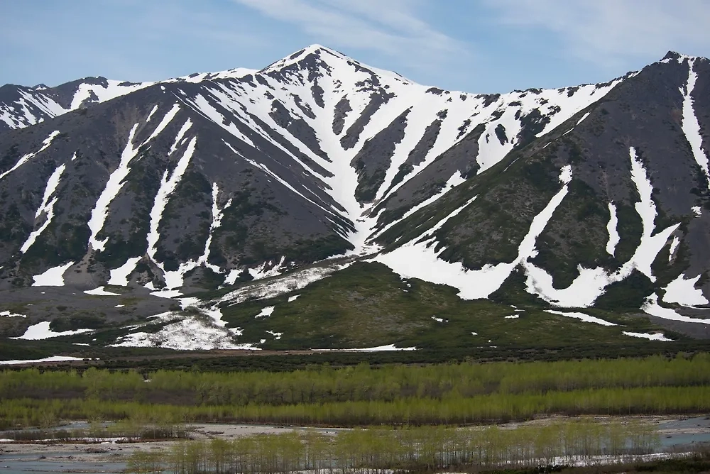 Обложка © Shutterstock / FOTODOM / Fedelya