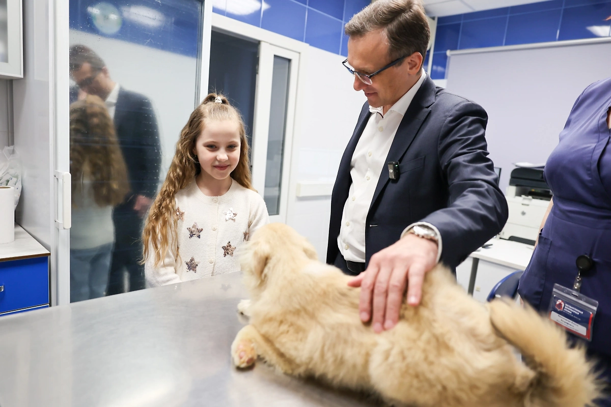 Встреча Насти и Тео. Обложка © Минсельхъоз Подмосковья