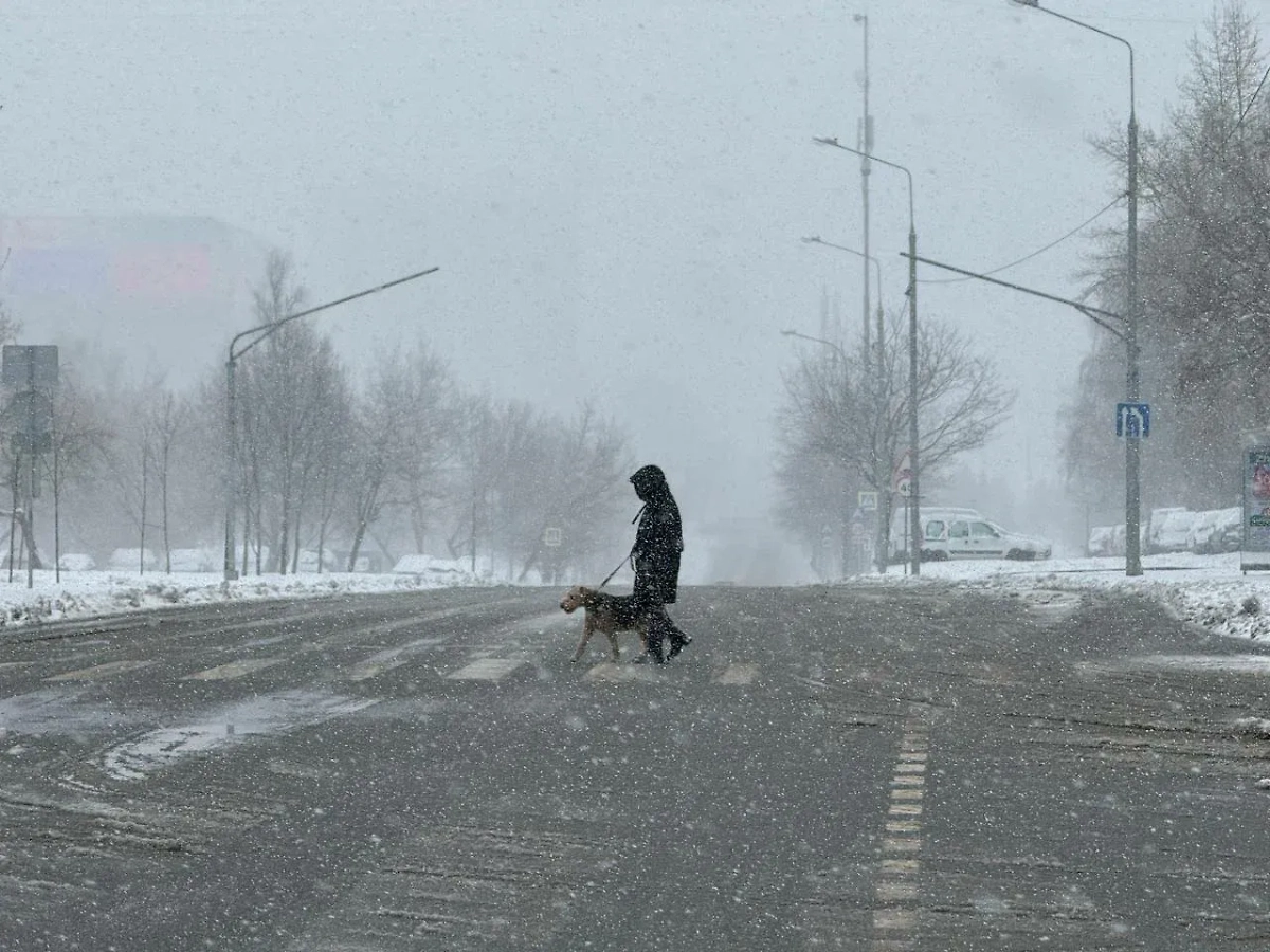 Апрельский снегопад в Москве. Фото © Life.ru