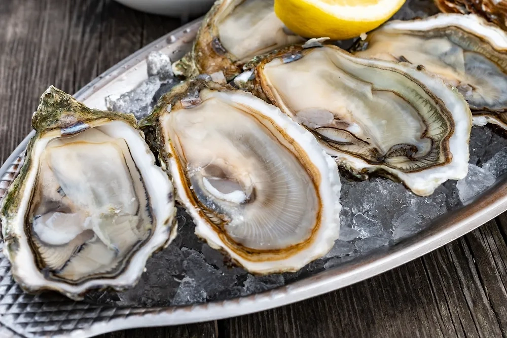 Живые устрицы. Обложка © Shutterstock / FOTODOM / barmalini