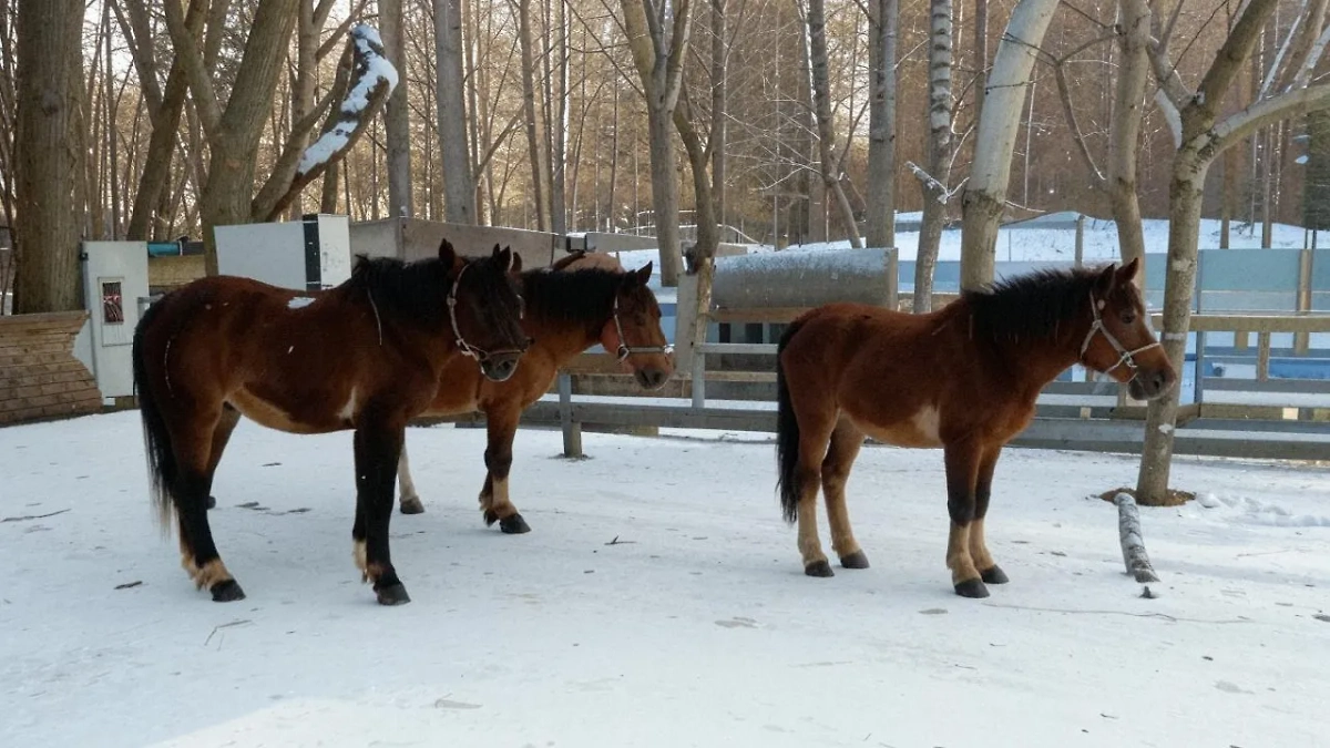 Обложка © Kandinsky 3.1 / Life.ru