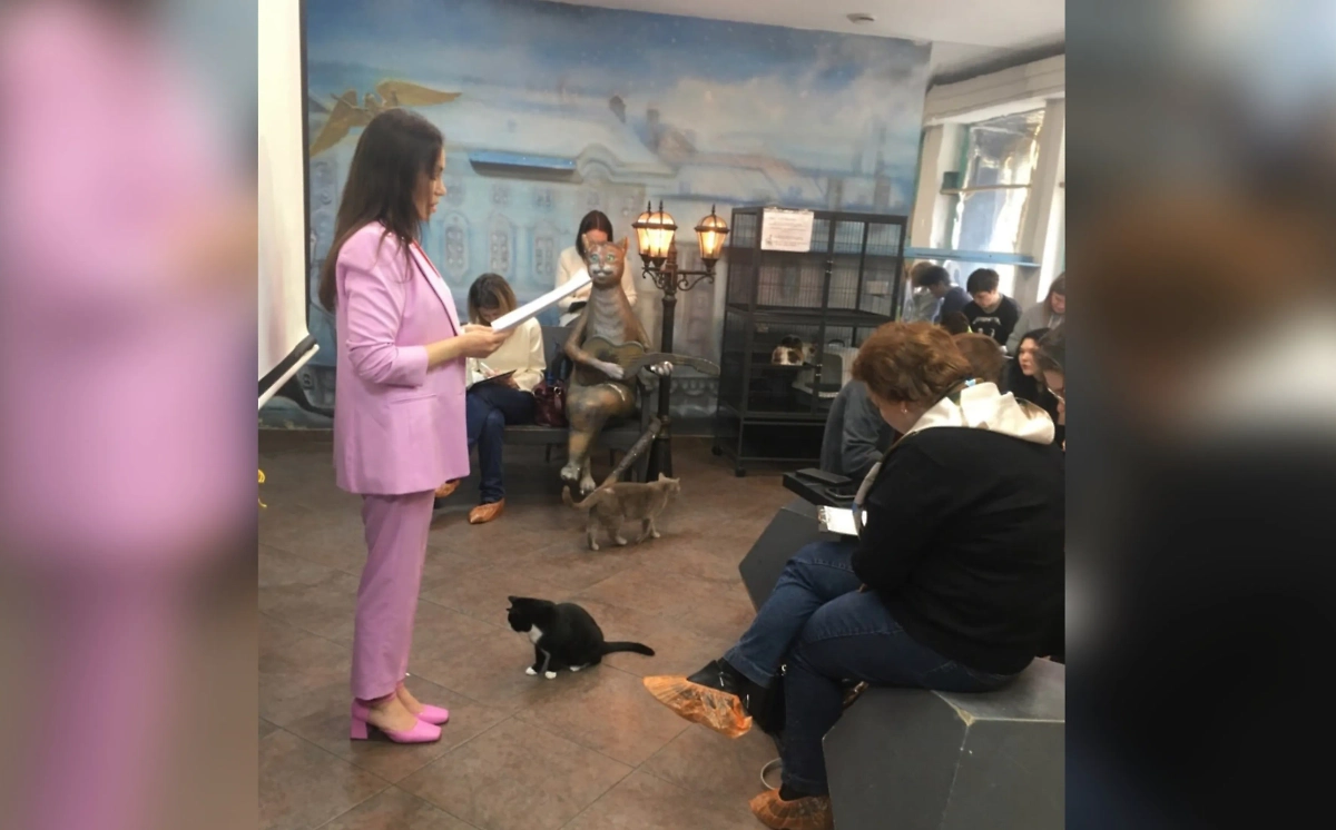 Тотальный диктант в котокафе. Фото © VK / Республика кошек и котов