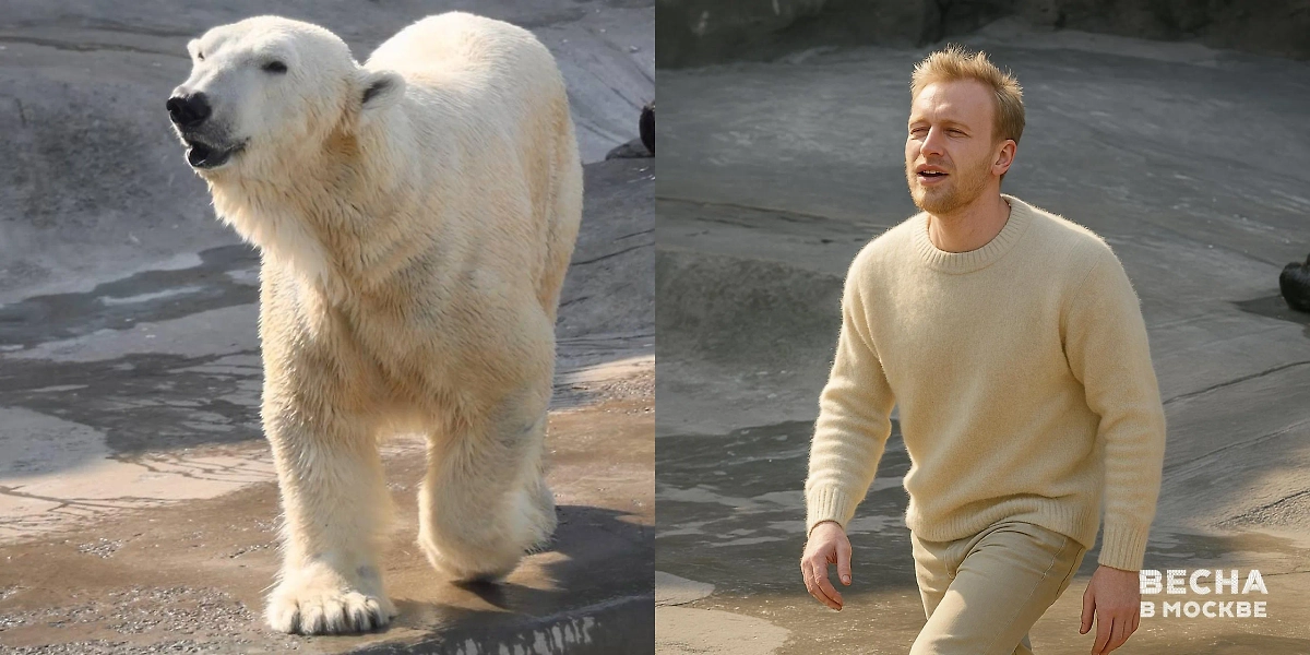 Нейросеть показала людей, похожих на животных из Московского зоопарка. Фото © T.me / Весна в Москве