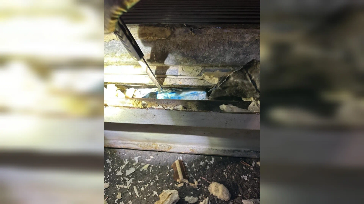 В Петербурге задержали партию кокаина на полмиллиарда рублей. Фото © ФТС России