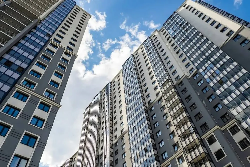 Обложка © Shutterstock / FOTODOM / bellena