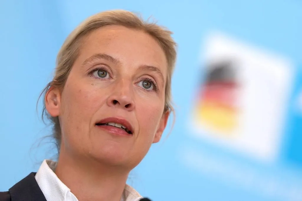 Алиса Вайдель. Обложка © ТАСС / EPA / HANNIBAL HANSCHKE