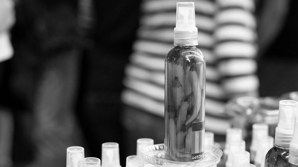 Советский способ эффективной борьбы с тлёй. Фото © Shutterstock / FOTODOM / Bulgn