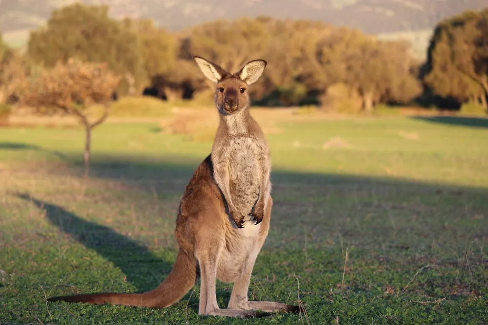 Обложка © Shutterstock / FOTODOM / LCAT Productions