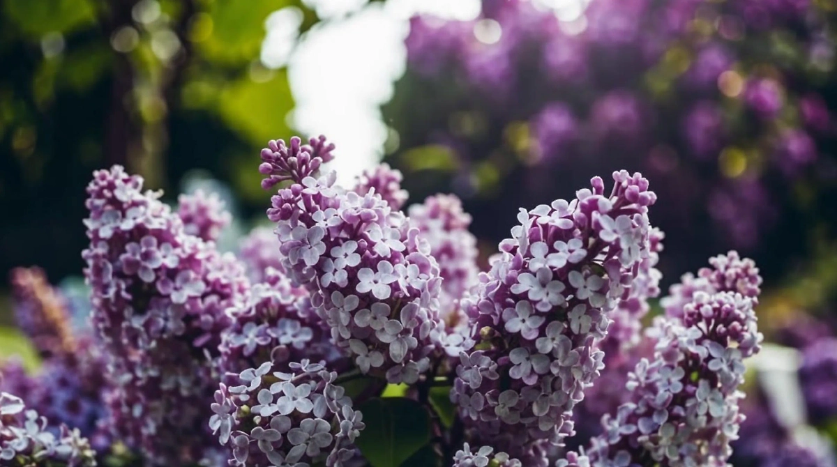 Обложка © Life.ru / Kandinsky 3.1