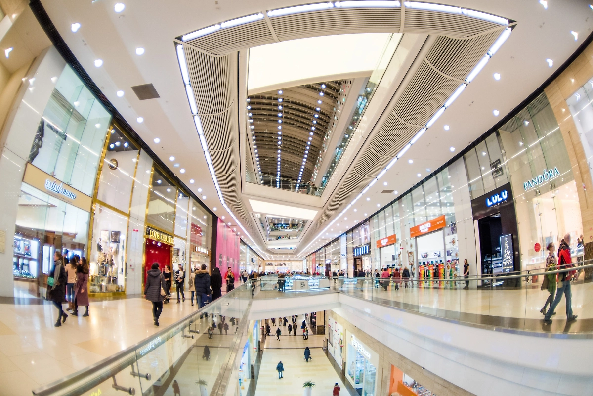 Обложка © Shutterstock / FOTODOM / VladFotoMag