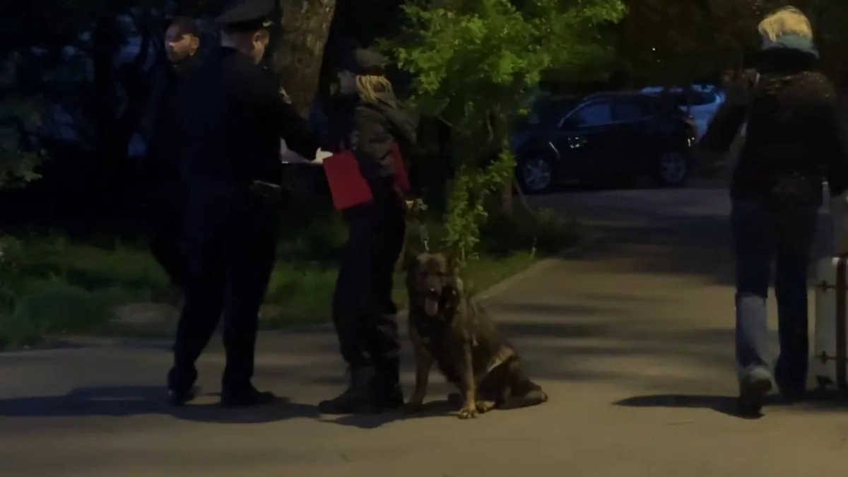 Задержание нападавшей на офис микрозаймов. Обложка © Telegram / SHOT