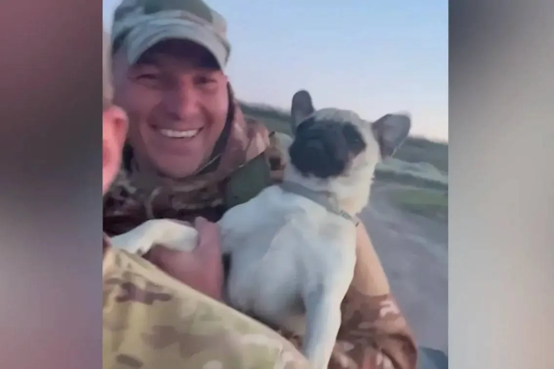 Мопс Кузьмич с бойцом Пашаем. Обложка © Telegram / Народный Фронт