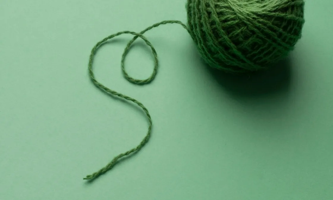 Секретные обереги для денег: что хранят в кошельке успешные предприниматели. Фото © Freepik