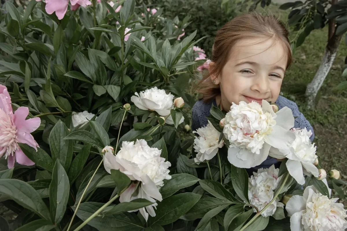 Животные и насекомые на участке: какие из них принесут удачу в деньгах. Фото © Freepik / pvproductions