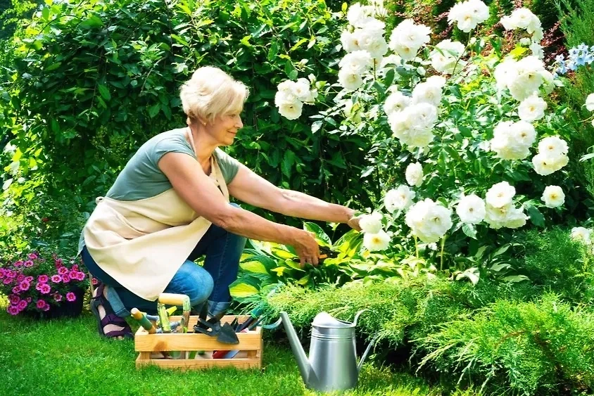 Неожиданные находки на даче и их влияние на материальное положение. Фото © Shutterstock / FOTODOM / nieriss