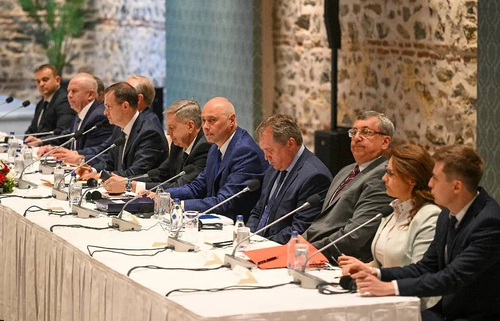 Российская делегация на переговорах в Стамбуле. Фото © ТАСС / POOL / Рамиль Ситдиков