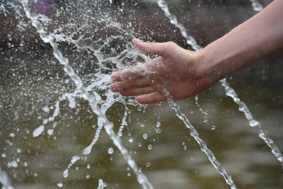 Весна вернётся в Подмосковье в выходные. Обложка © Life.ru