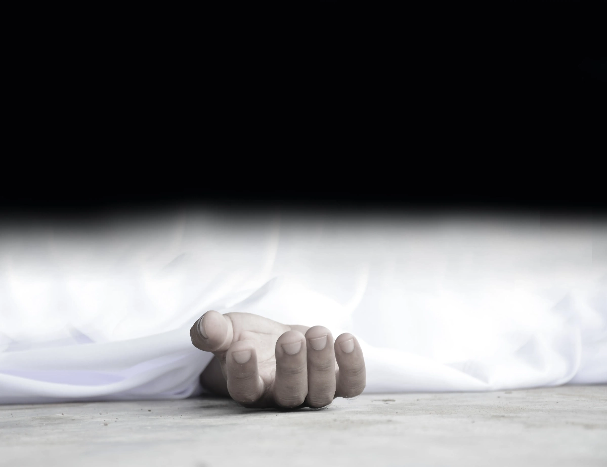 Обложка © Shutterstock / FOTODOM / shutting