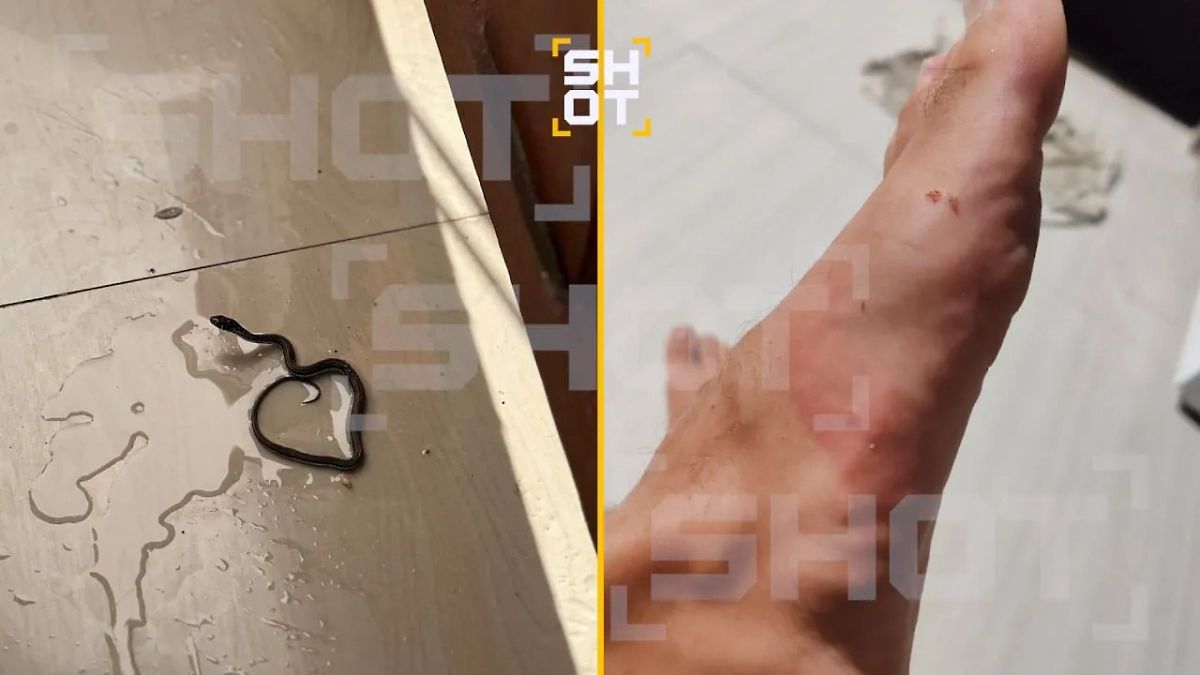 Змеи активно нападают на российских туристов на Бали. Фото © SHOT