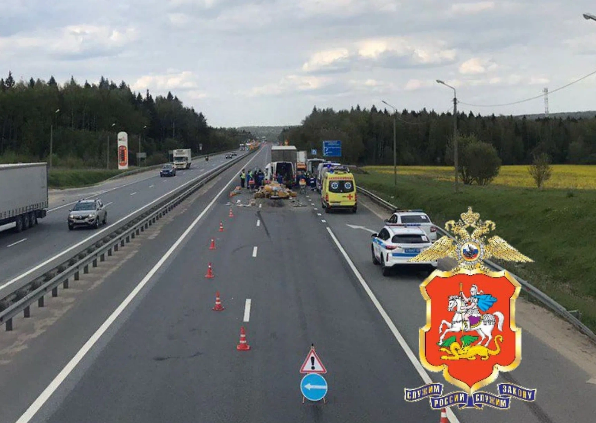 Последствия ДТП в Подмосковье. Обложка © Telegram / Подмосковная полиция