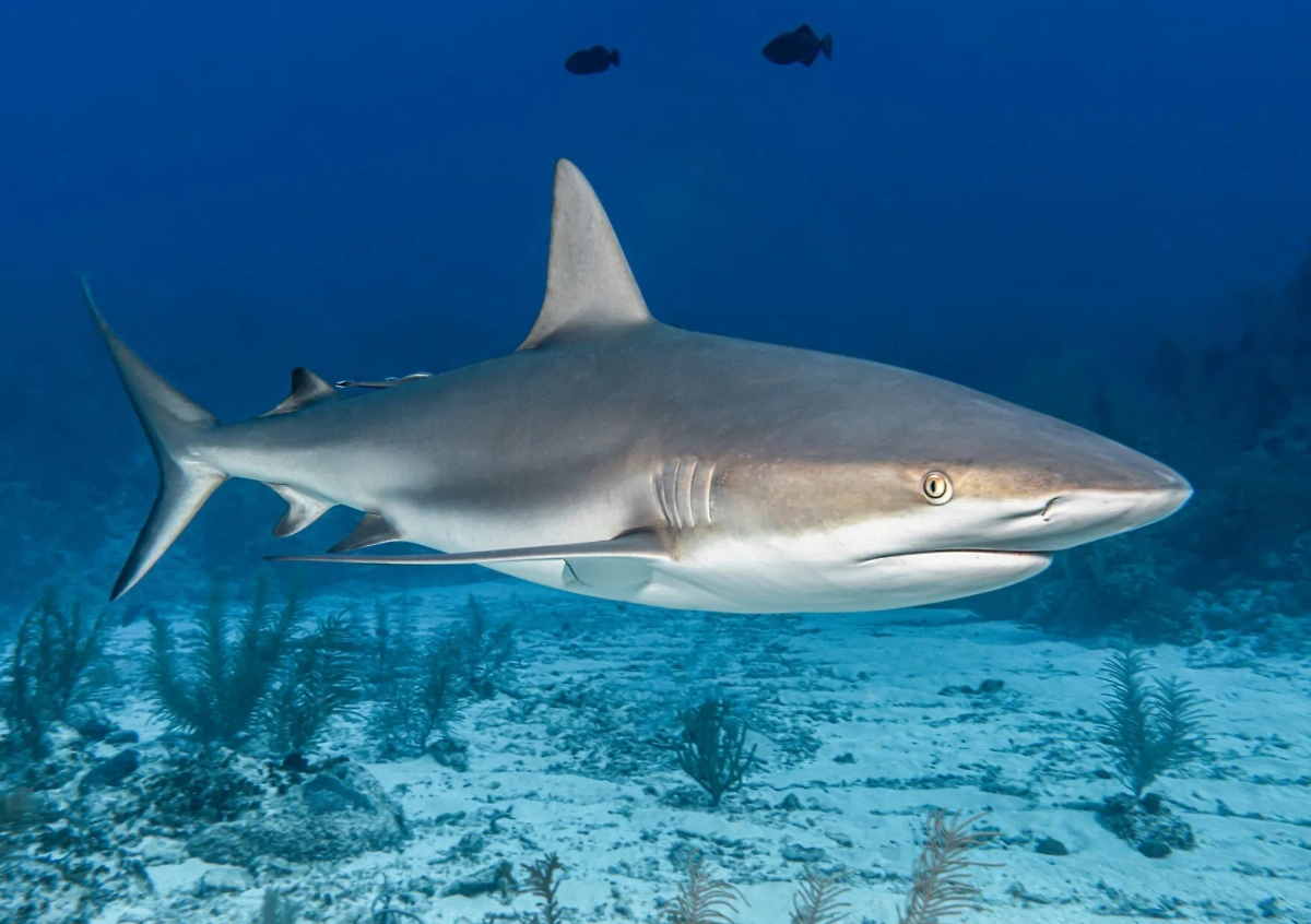 Обложка © freepik