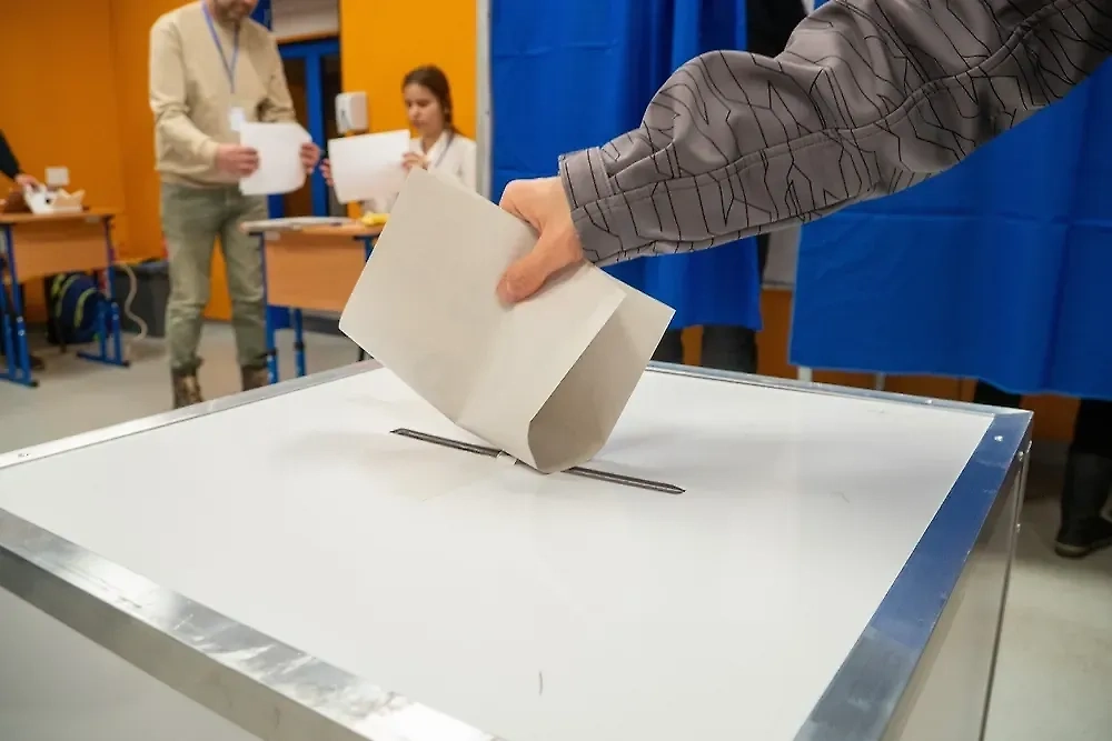 Выборы. Обложка © Shutterstock / FOTODOM / Bogdan Totoran