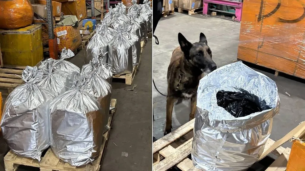 Конфискованные вещества. Обложка © ФТС России