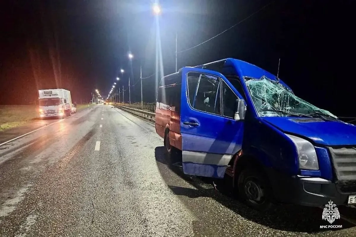 ДТП в Калмыкии. Обложка © Telegram / МЧС Республики Калмыкия