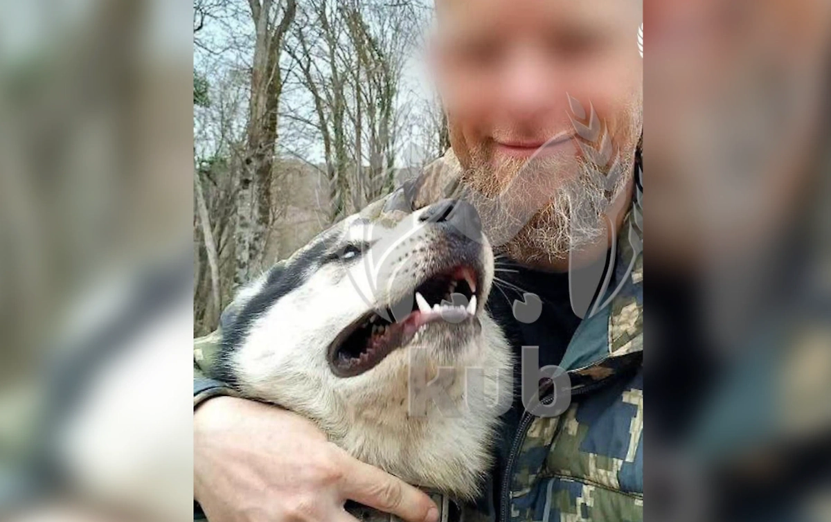 Мужчина вместе с хаски. Фото © Telegram / Kub Mash