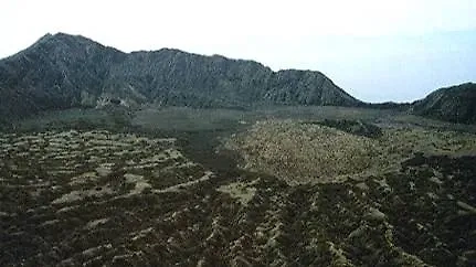 В разгар Второй мировой на острове можно было выжить, но качество жизни упало у всех обитателей острова. Фото © Wikipedia / Jack Lockwood, U.S. Geological Survey