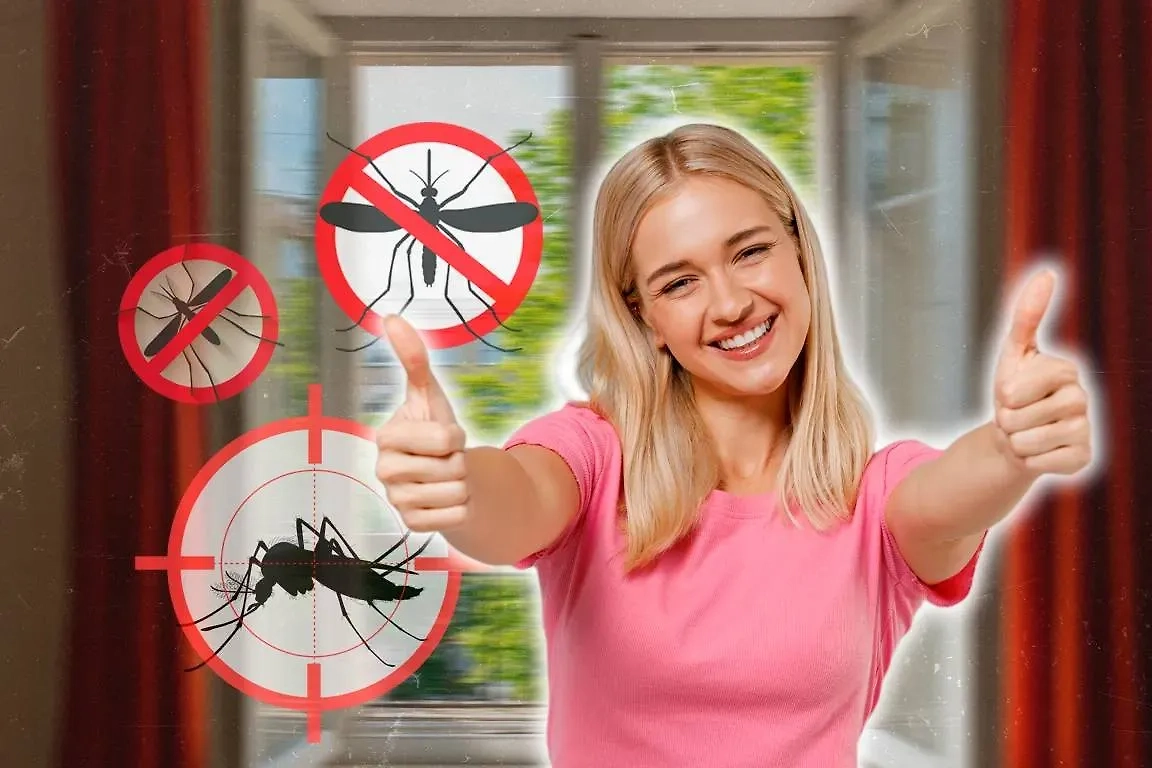 Обложка © Коллаж © Life.ru, фото © Shutterstock / FOTODOM / ViDI Studio, NatBasil, VectorDoc, forden, © «Шедеврум»