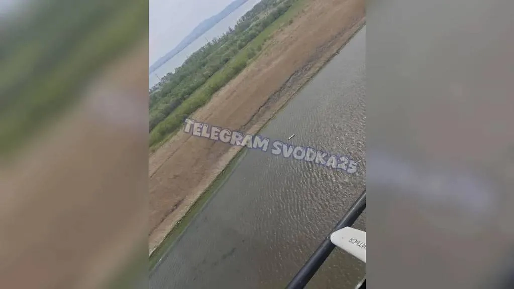 Найденный сап. Фото © Telegram / Svodka25