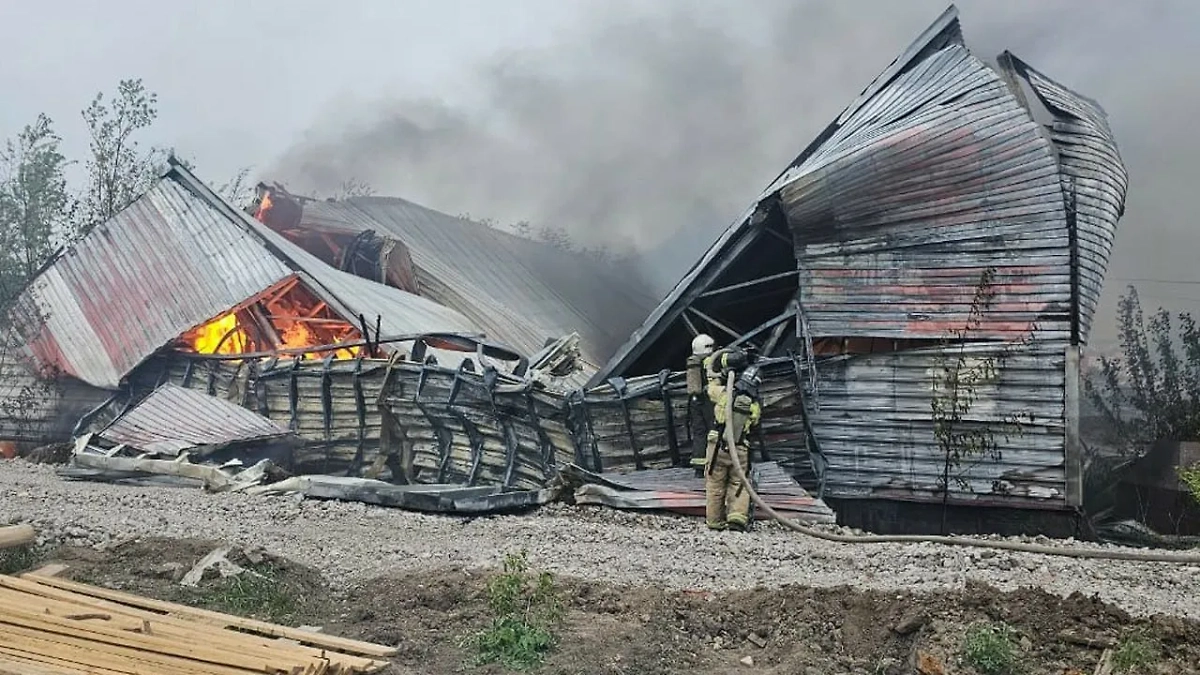 Пожар. Обложка © Telegram / МЧС Алтайского края