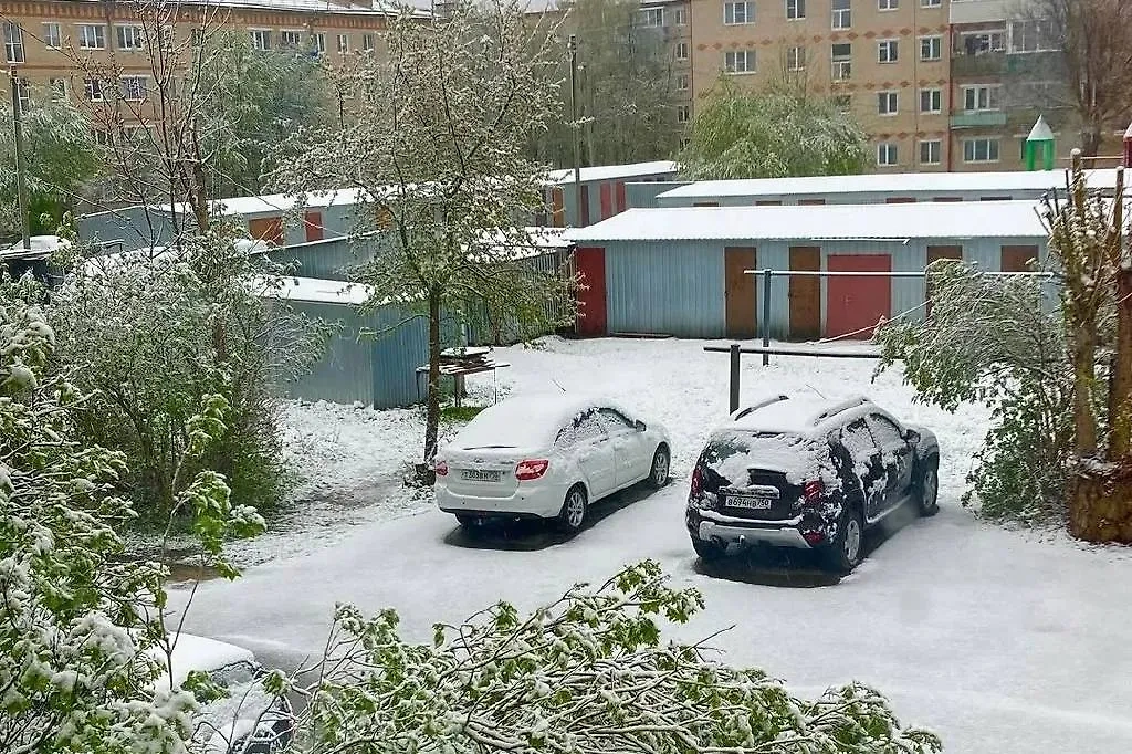 Заснеженные улицы Подмосковья. Обложка © VK / Подслушано Талдом