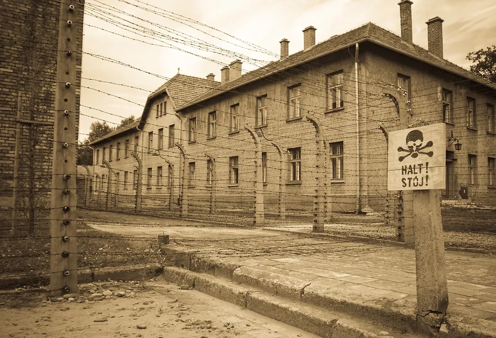 Обложка © Shutterstock /FOTODOM / Pics-xl