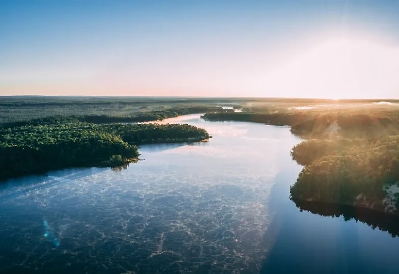 Амазония. Обложка © Freepik / wirestock