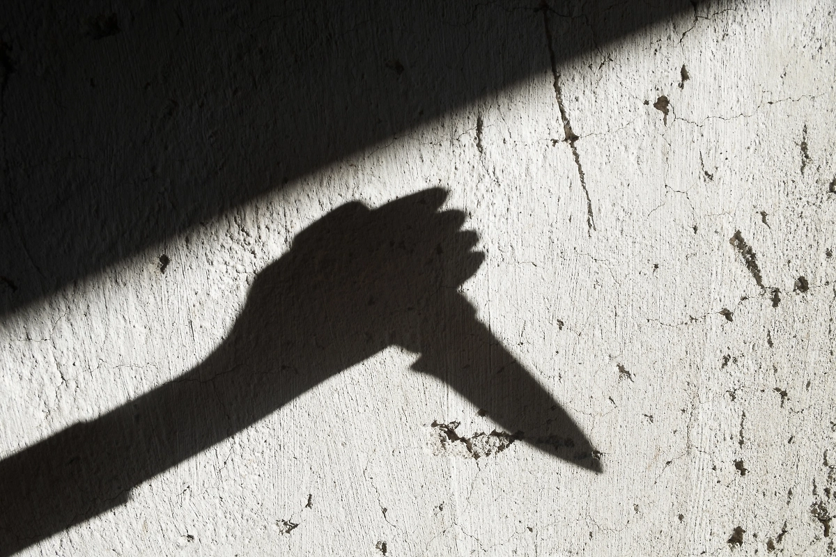 Обложка © Shutterstock / FOTODOM / rootstock