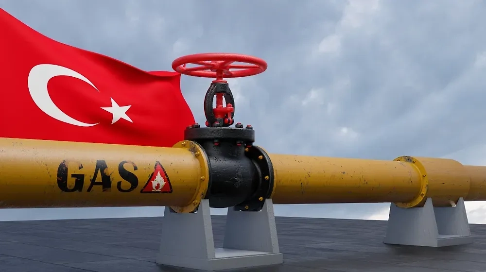 Фото © Shutterstock / FOTODOM / Fly Of Swallow Studio