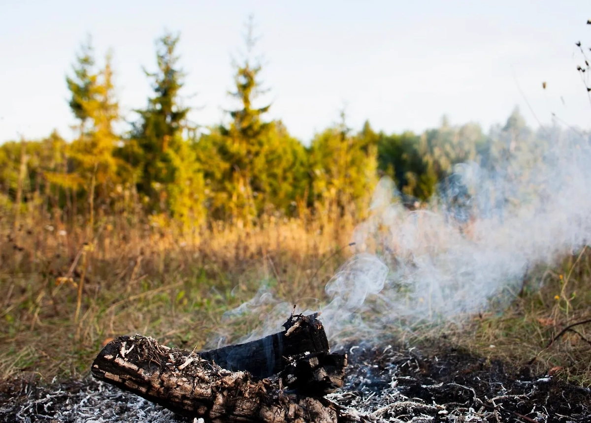 Обложка © freepik 