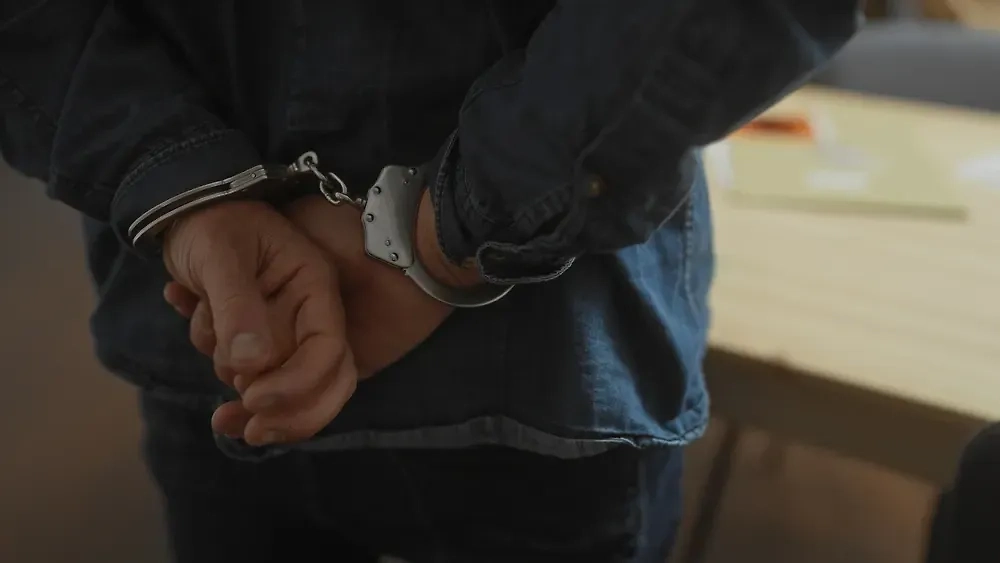 Обложка © Shutterstock / FOTODOM / Krakenimages.com