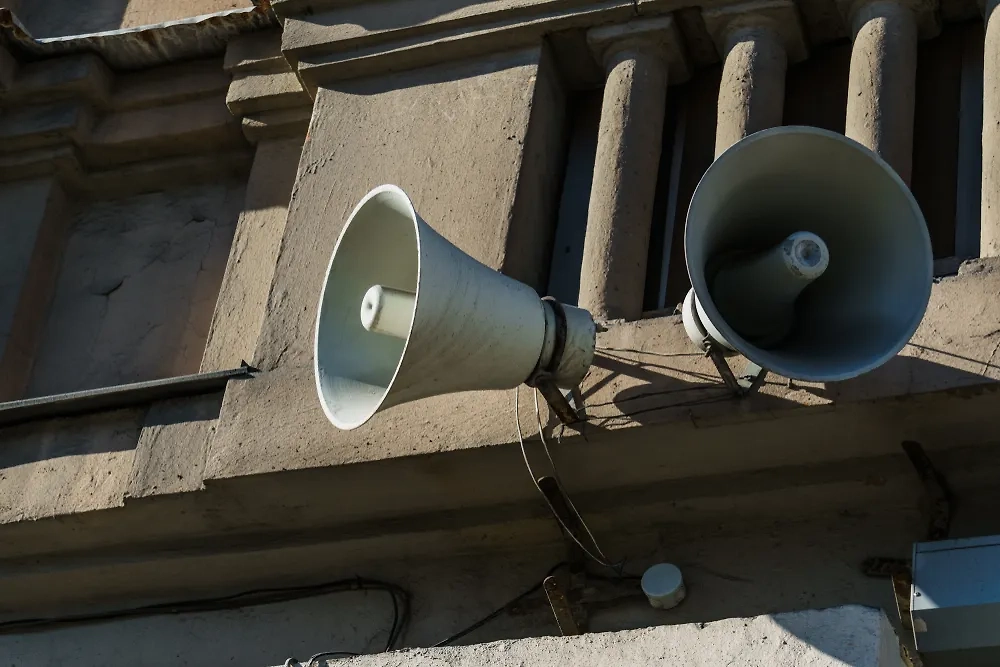 Обложка © Shutterstock / FOTODOM / Borislav Gaevskii