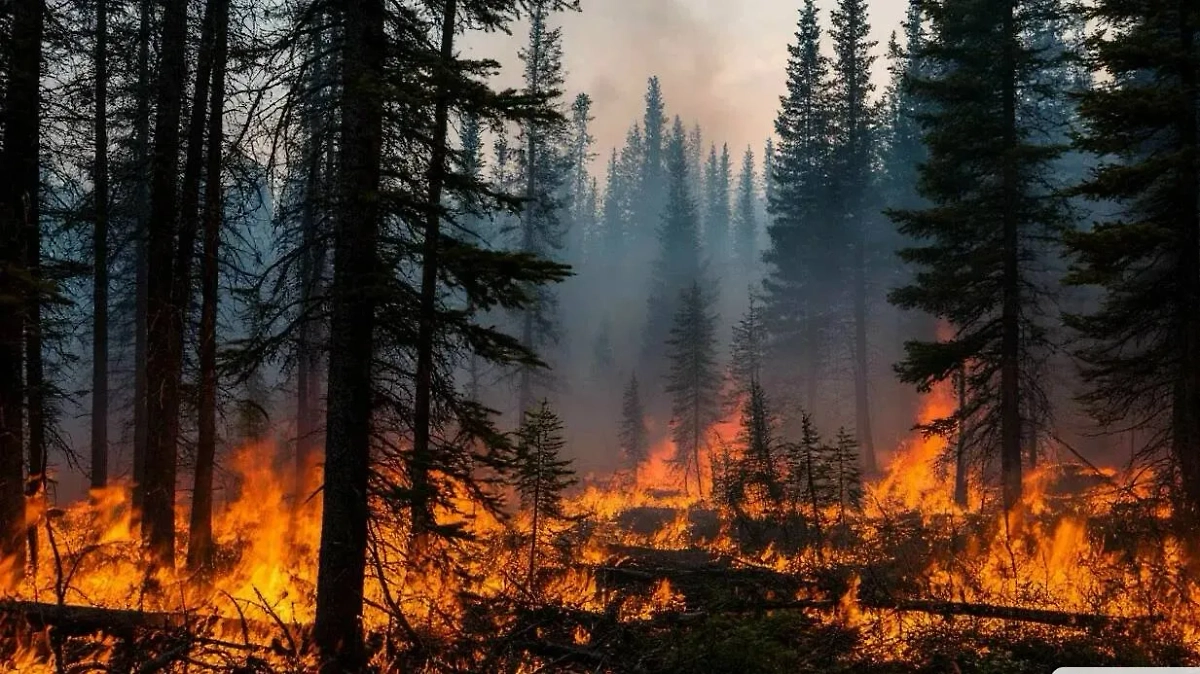 Лесные пожары. Фото © Шедеврум/Life.ru